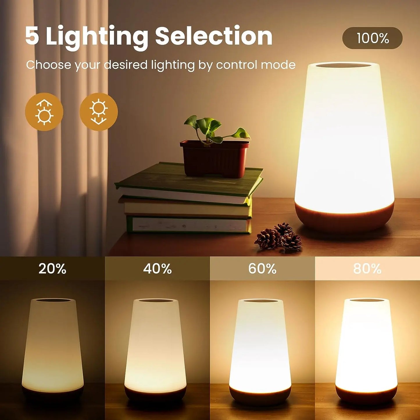 13 Colour Changing Night