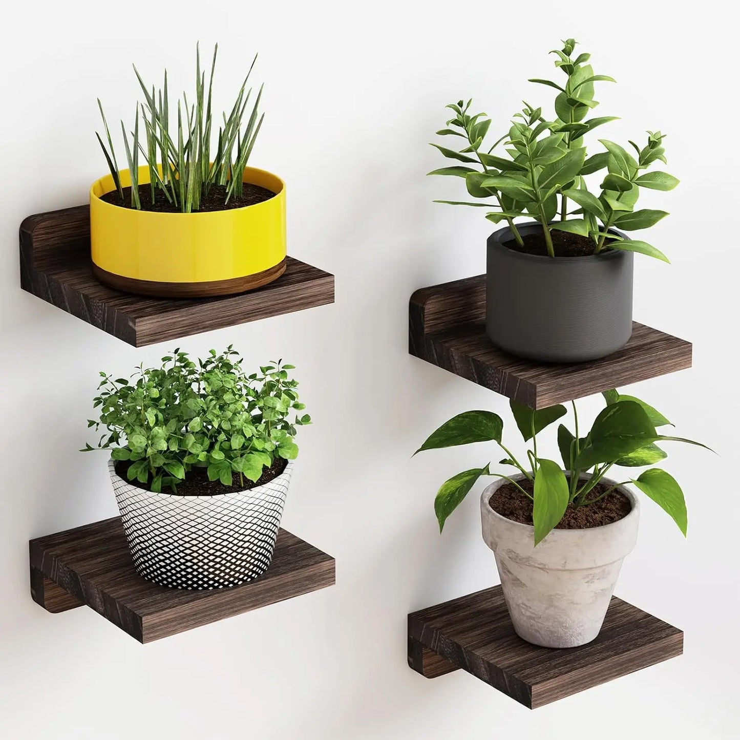 4Pack Wood Floating Shelves