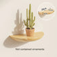 Wooden Semicircle Wall Shelves