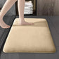 Absorbent Non Slip Floor Mat