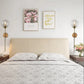 Modern Glass Wall Lamp