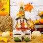 Autumn Gonk Home Decor