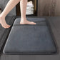 Absorbent Non Slip Floor Mat