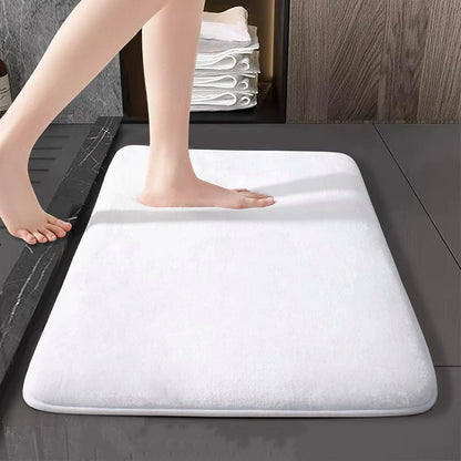 Absorbent Non Slip Floor Mat