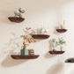 Wooden Semicircle Wall Shelves