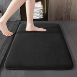 Absorbent Non Slip Floor Mat