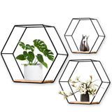 Floating  Decorative Wall Shelf