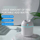 USB Mini Aroma Oil Diffuser 250ml